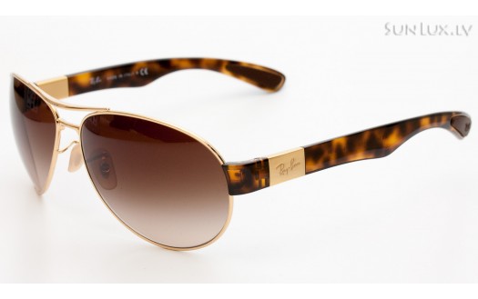 Ray-Ban Active Lifestyle Aviator (RB3509 001/13 63mm) saules brilles